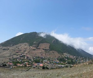 ویسر